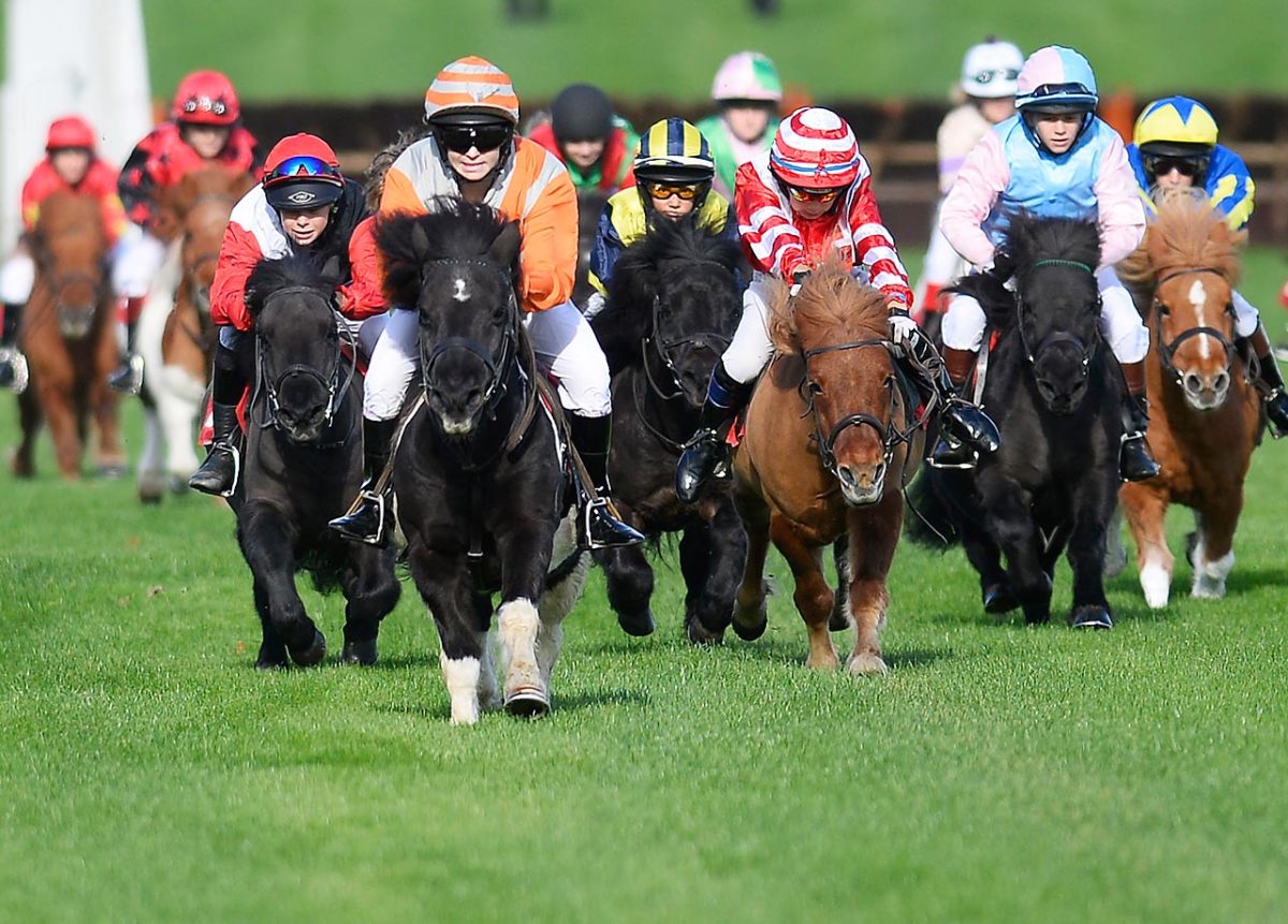 pony-racing.jpg