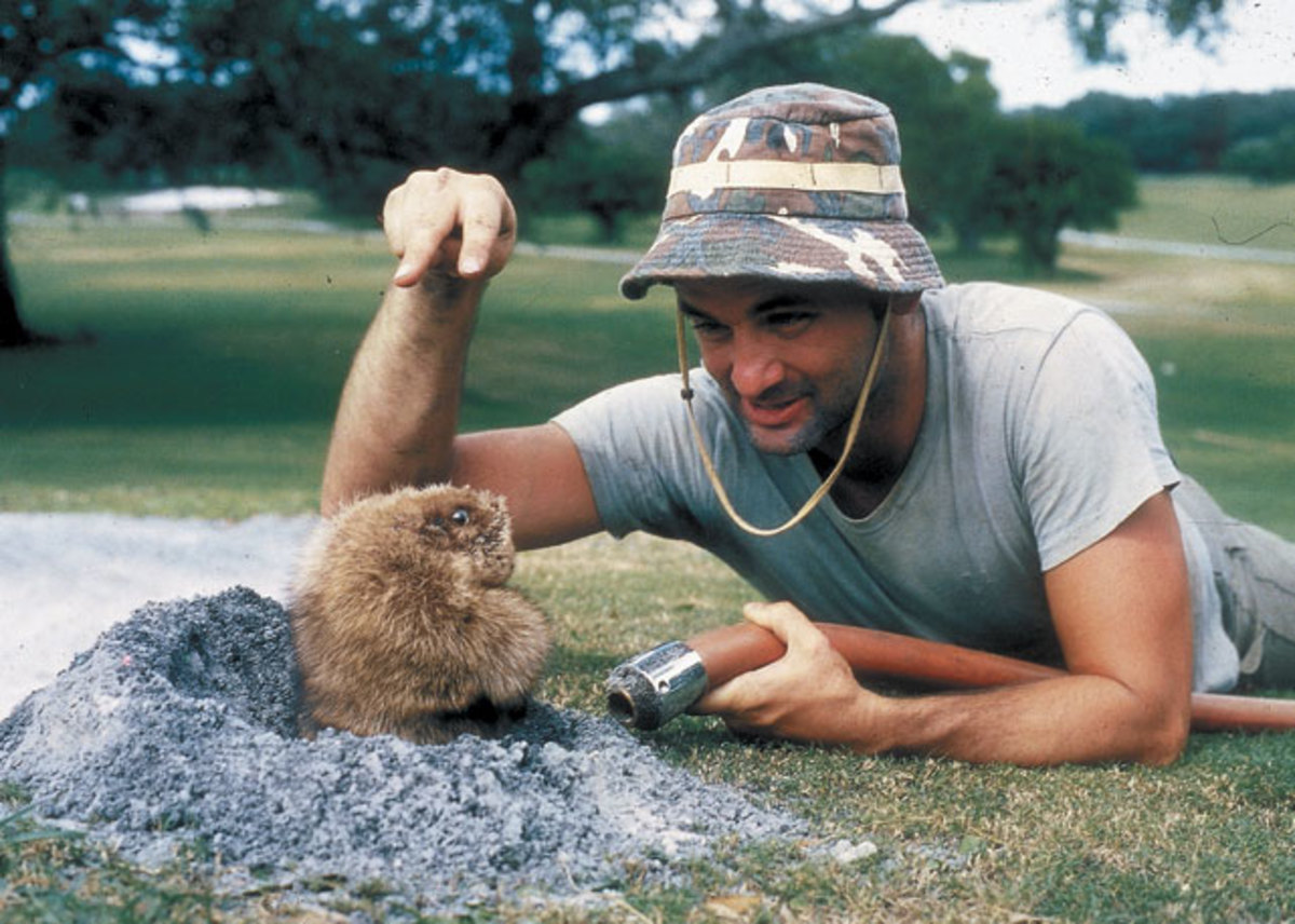 Bill Murray