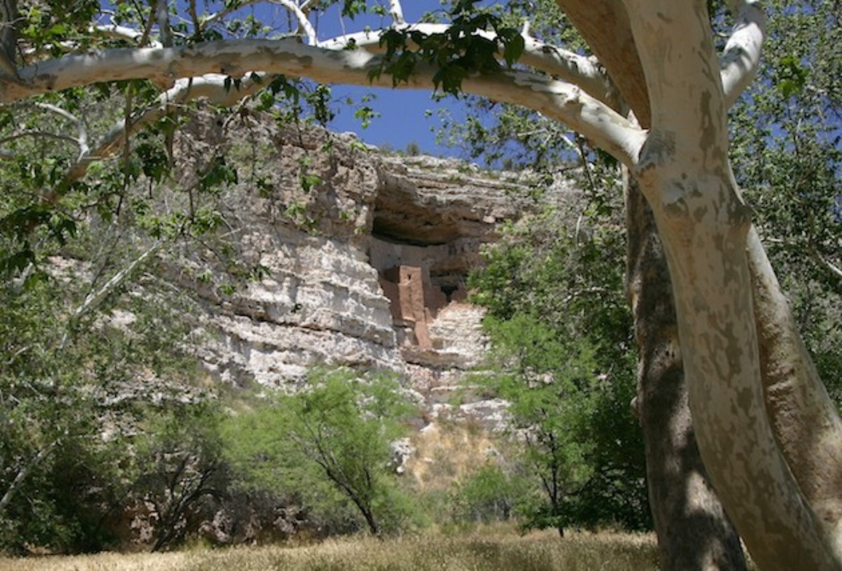 Image placeholder title