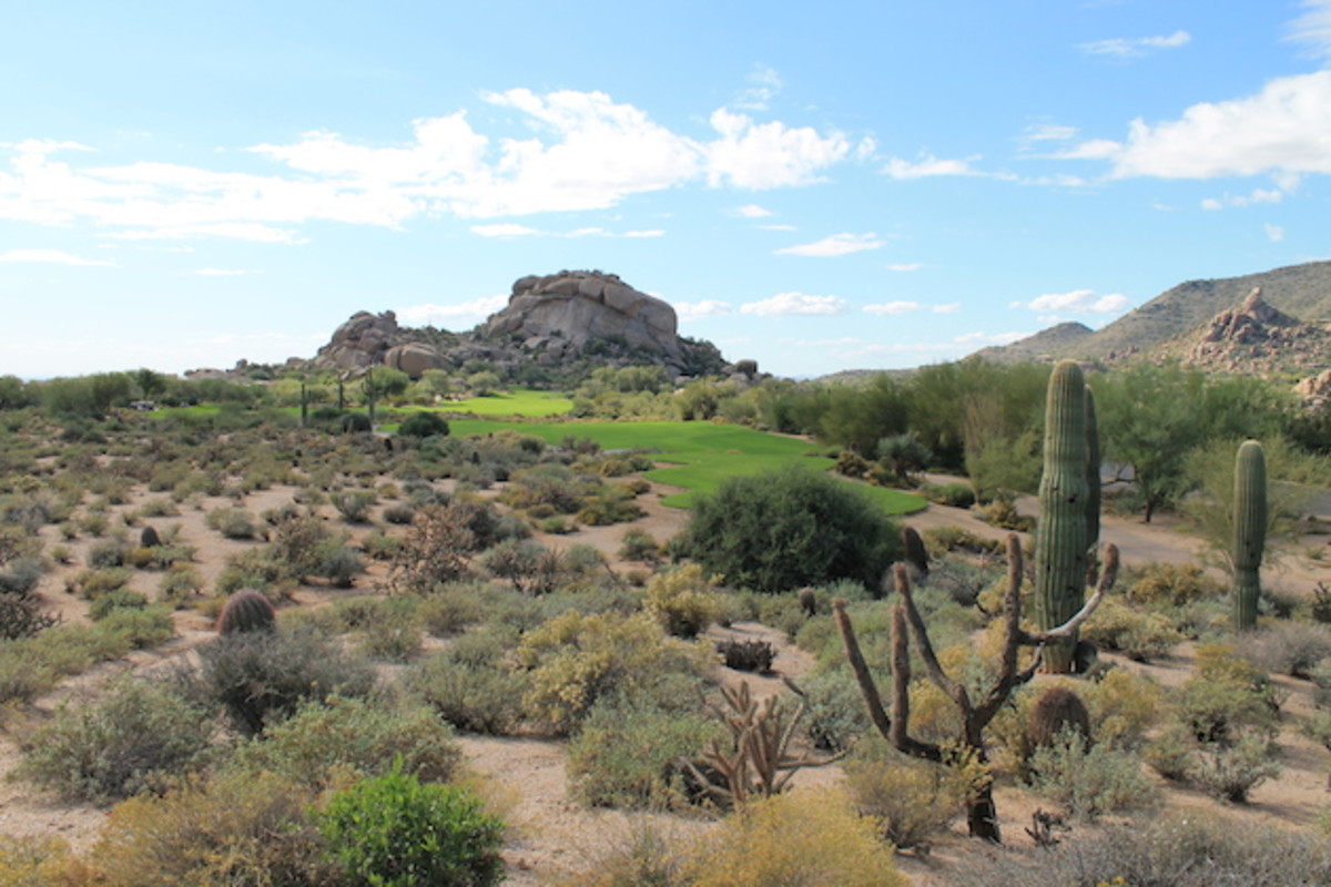 Image placeholder title