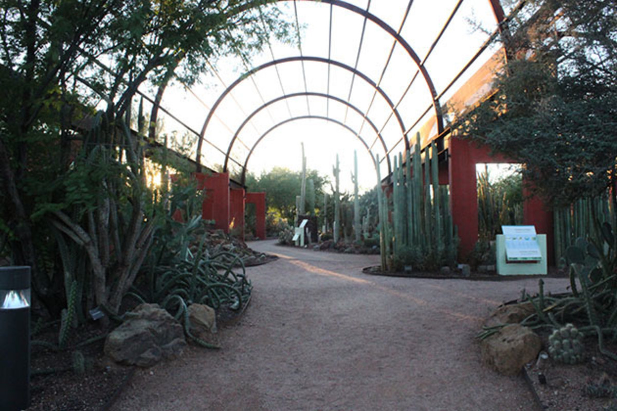 Image placeholder title