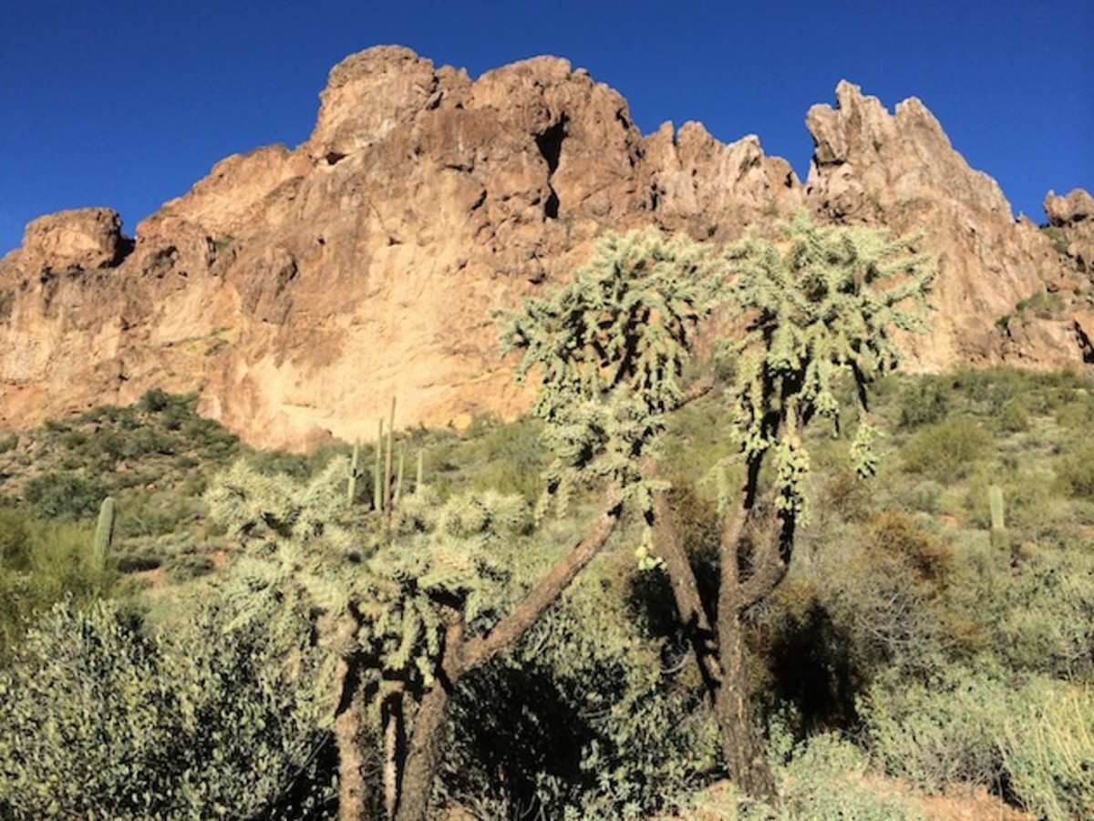 Image placeholder title