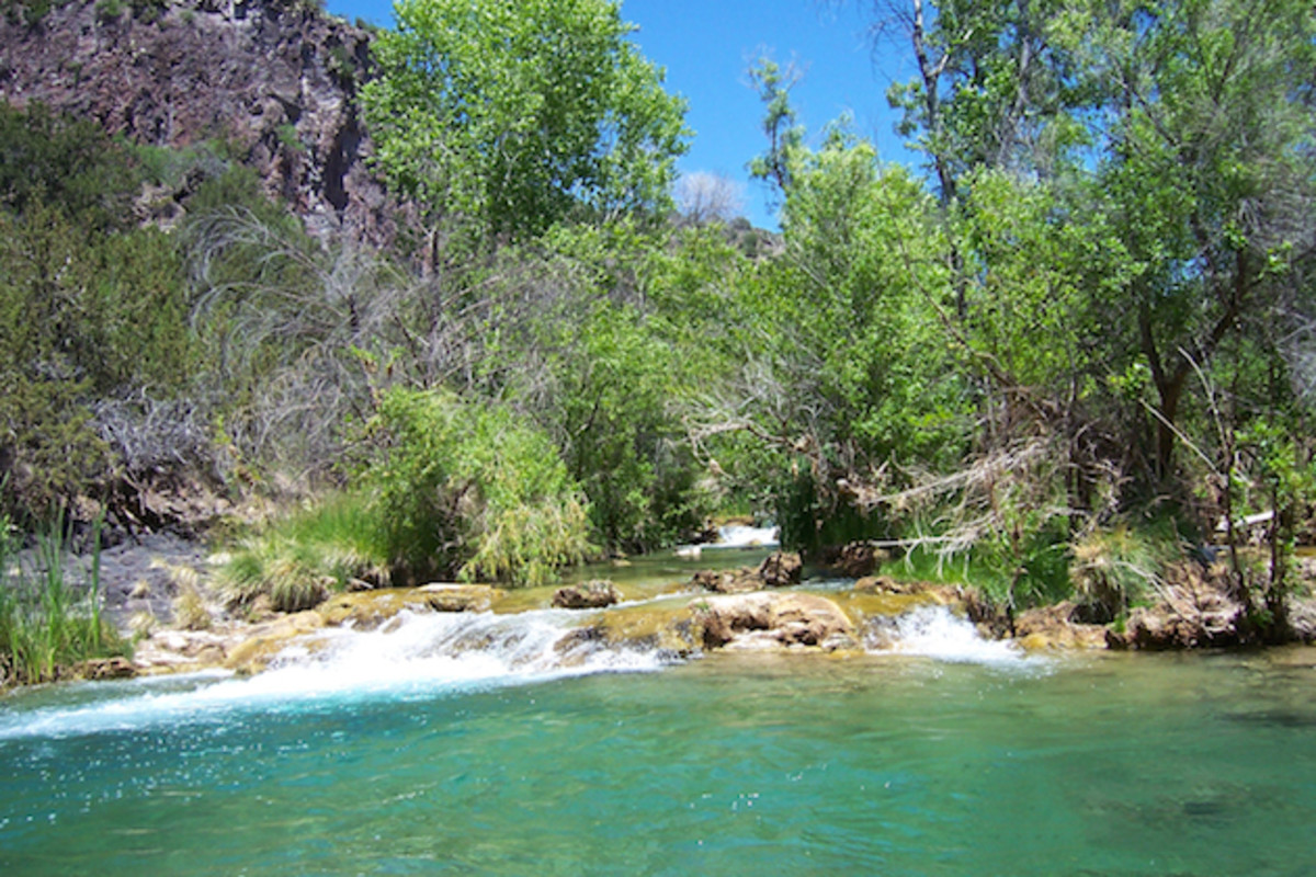 Image placeholder title