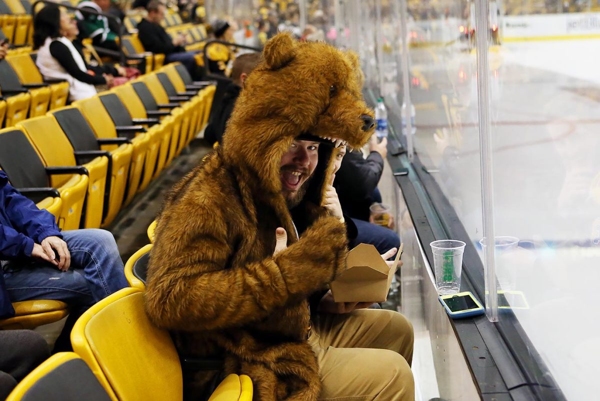 2015-1119-Boston-Bruins-fan.jpg