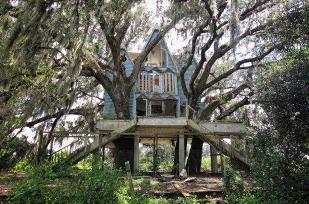 tree-house.jpg