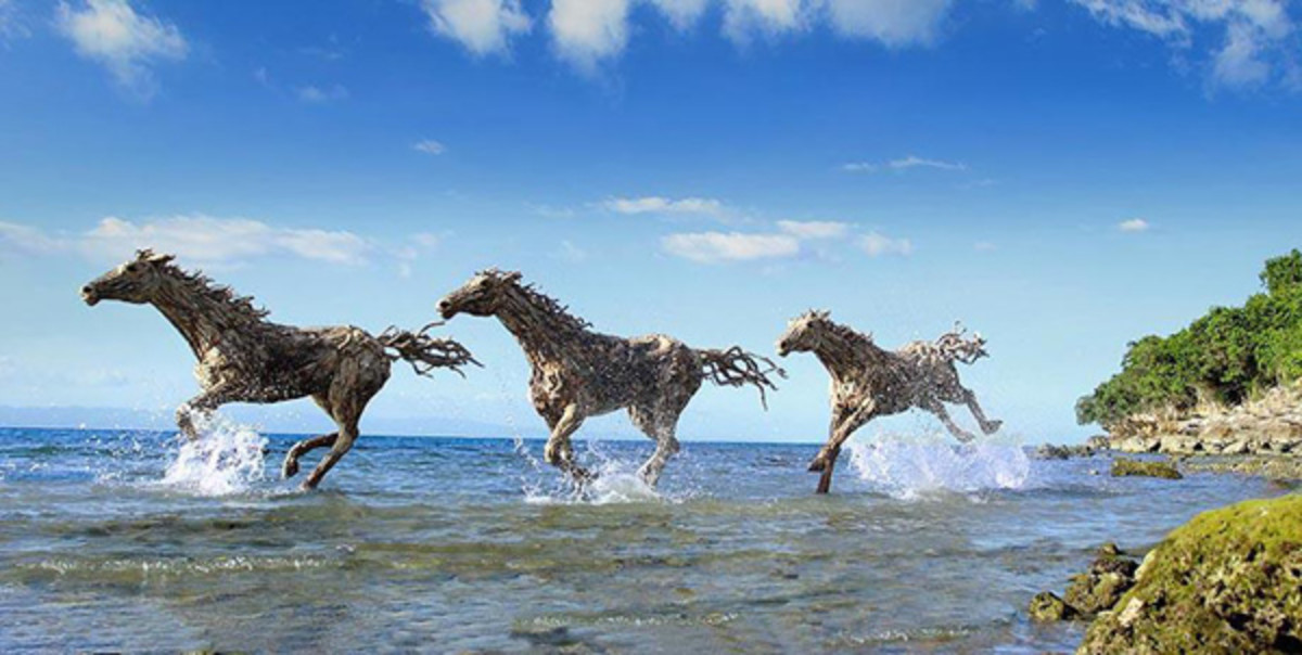 driftwood-art.jpg
