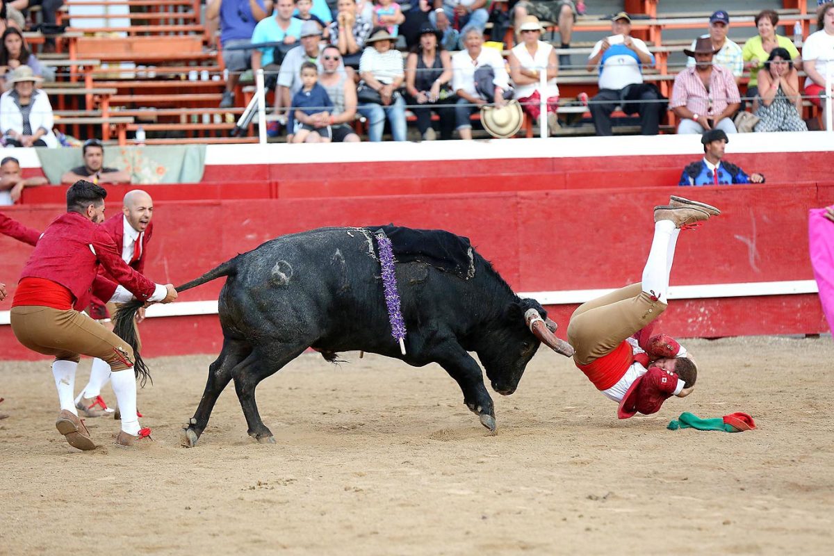 Portuguese-bullfight-482191352_master.jpg