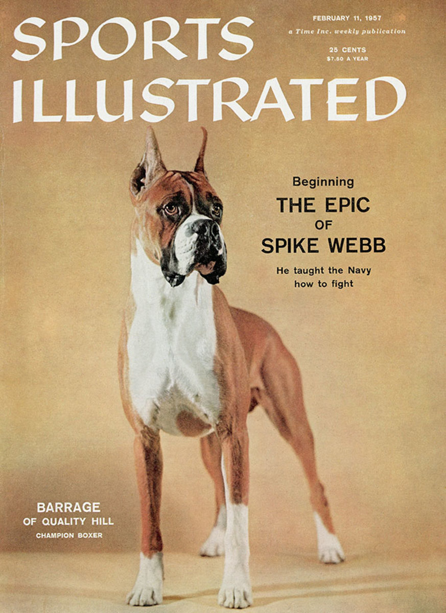 1957-0211-dog-boxer-Barrage-of-Quality-Hill-006272129.jpg