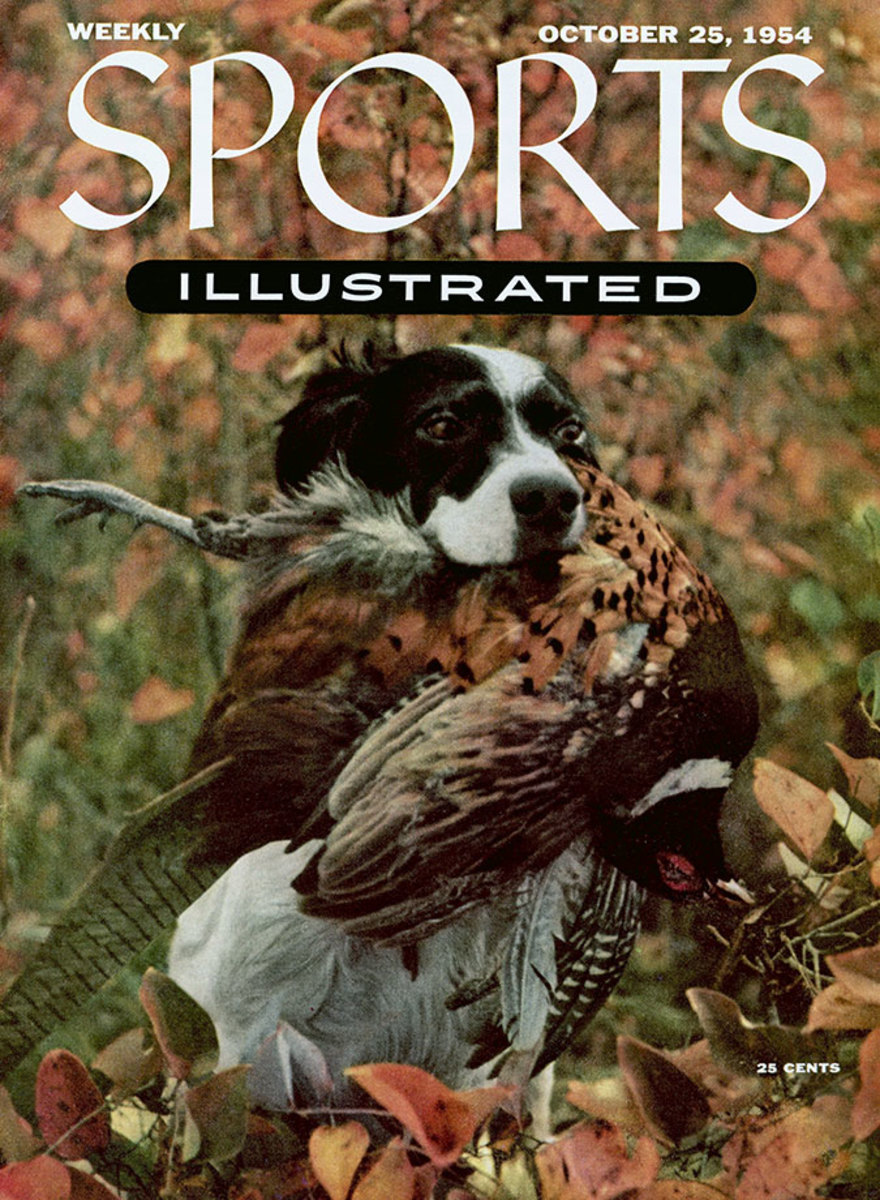 1954-1025-Bird-Dog-English-Setter-006272010r.jpg