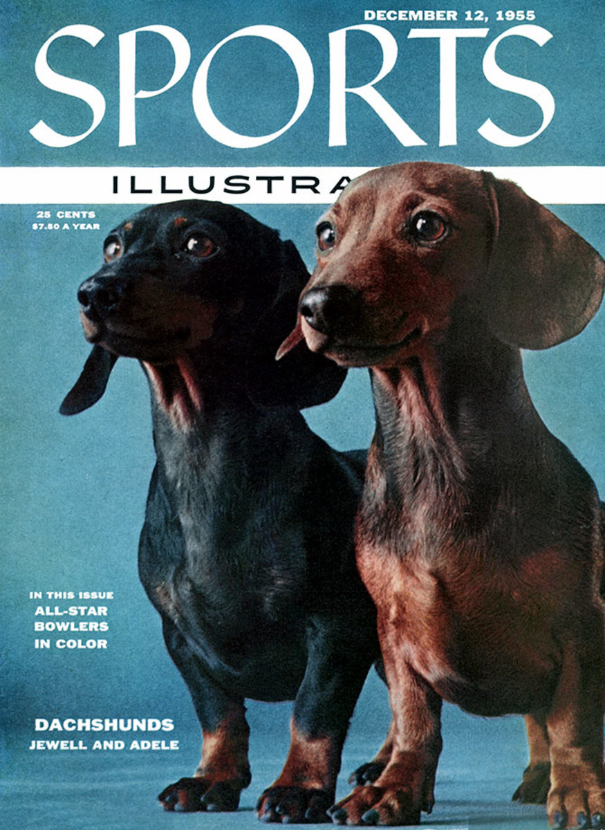 July 4 1955 Kippax Fearnought Dogs SPORTS ILLUSTRATED 