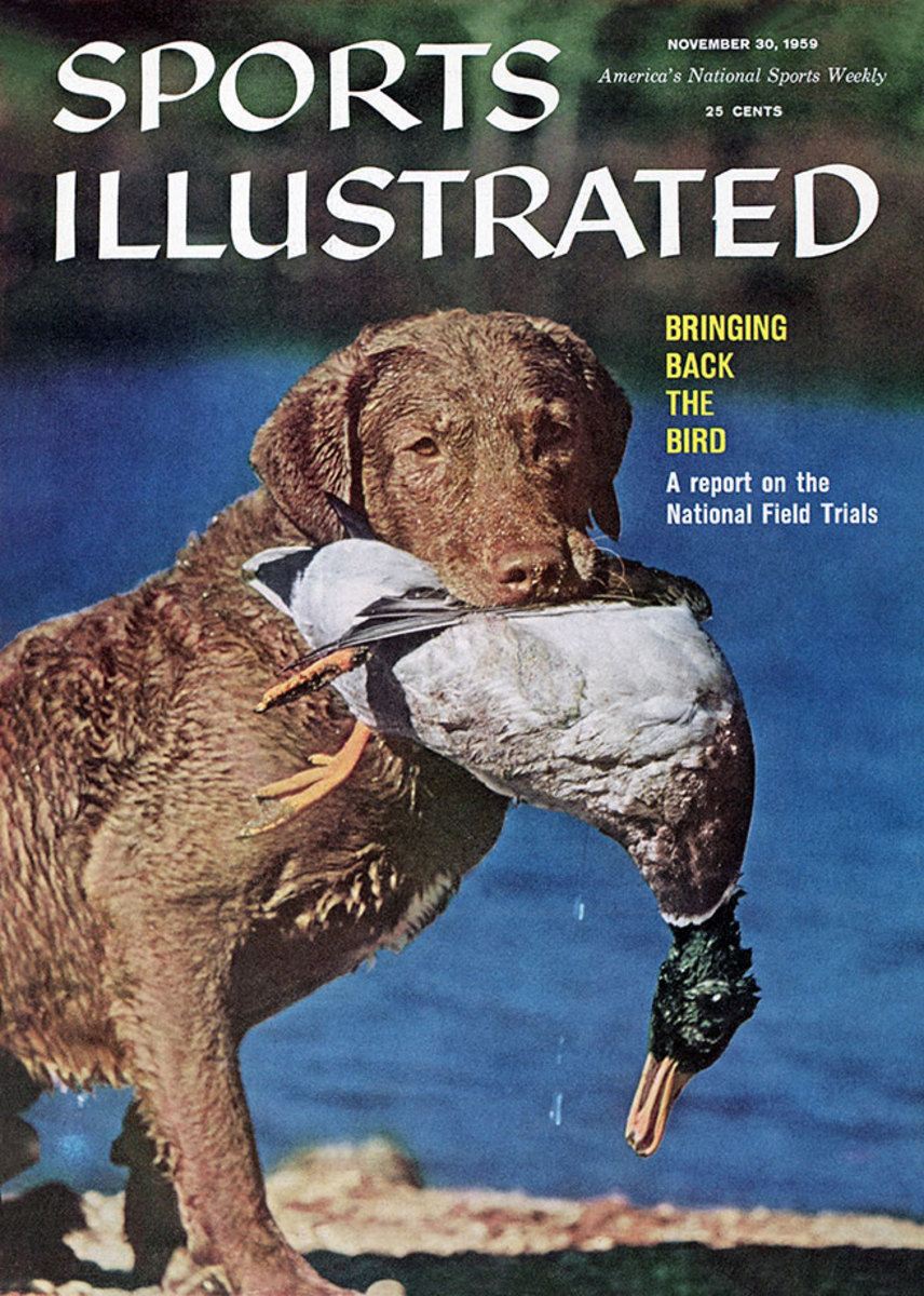 1959-1130-dog-chesapeake-retriever-duck-hunt-006272273r.jpg