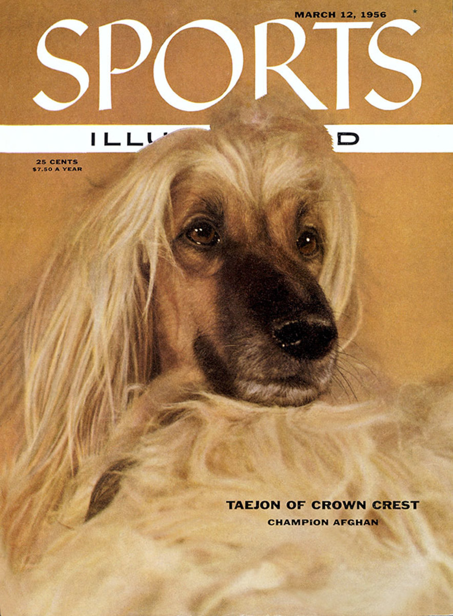 1956-0312-dog-Afghan-Hound-Taejon-of-Crown-Crest-006272082.jpg