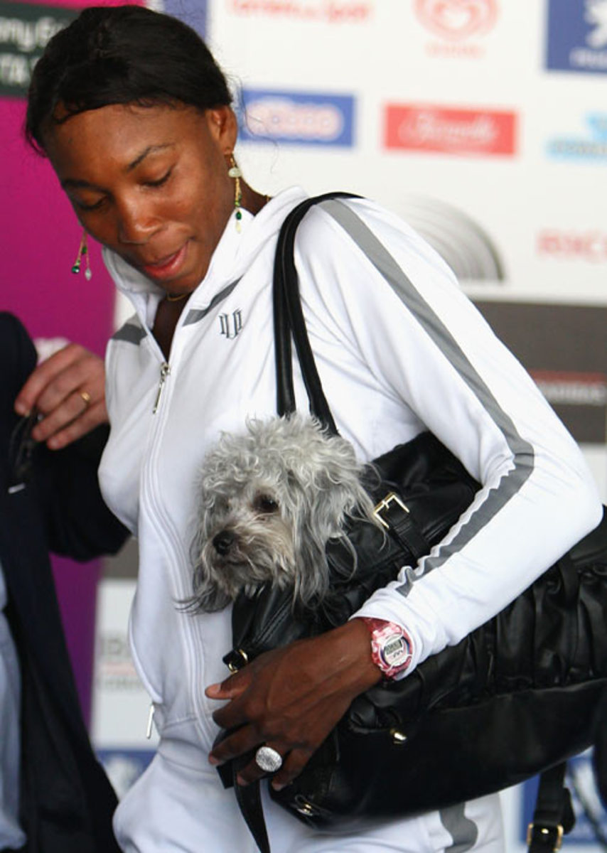 venus-williams-dog-86356399.jpg