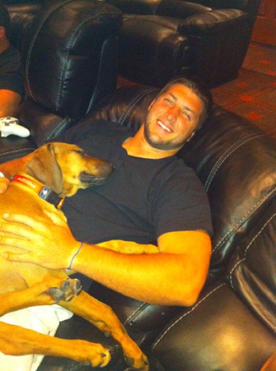 tebow-dog.jpg