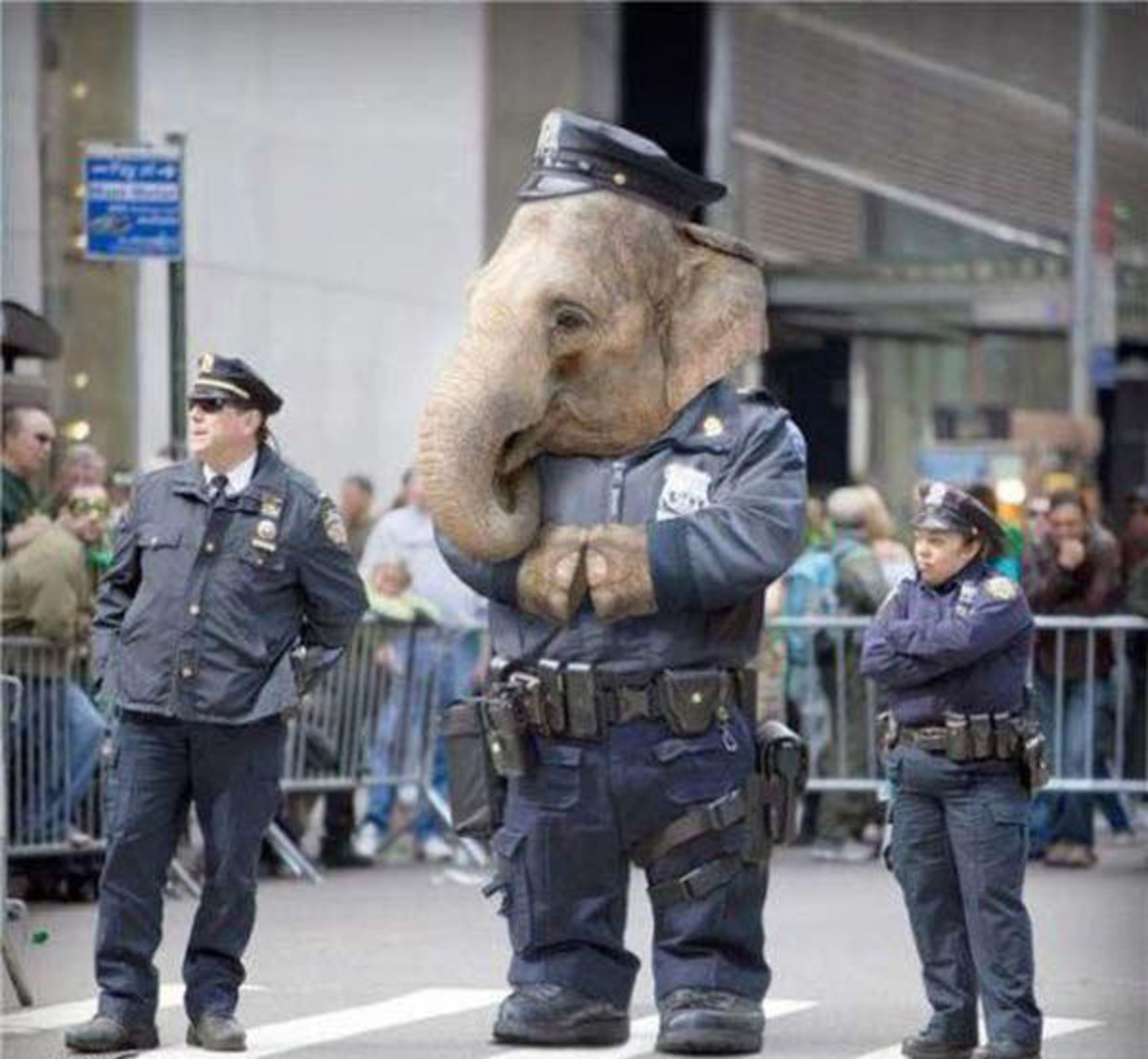 elephant-cop.jpg