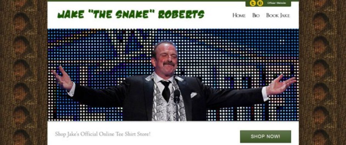 jake-the-snake-roberts-website.jpg