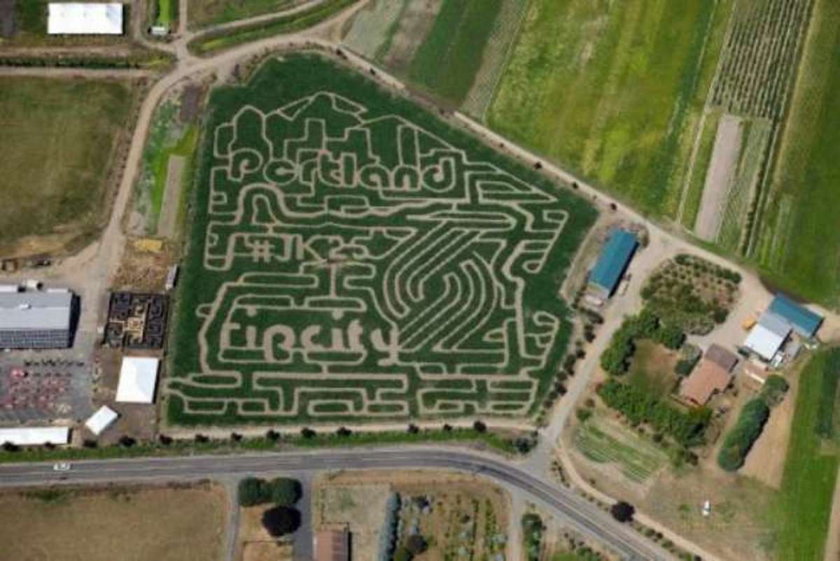 jerome-kersey-corn-maze.jpg