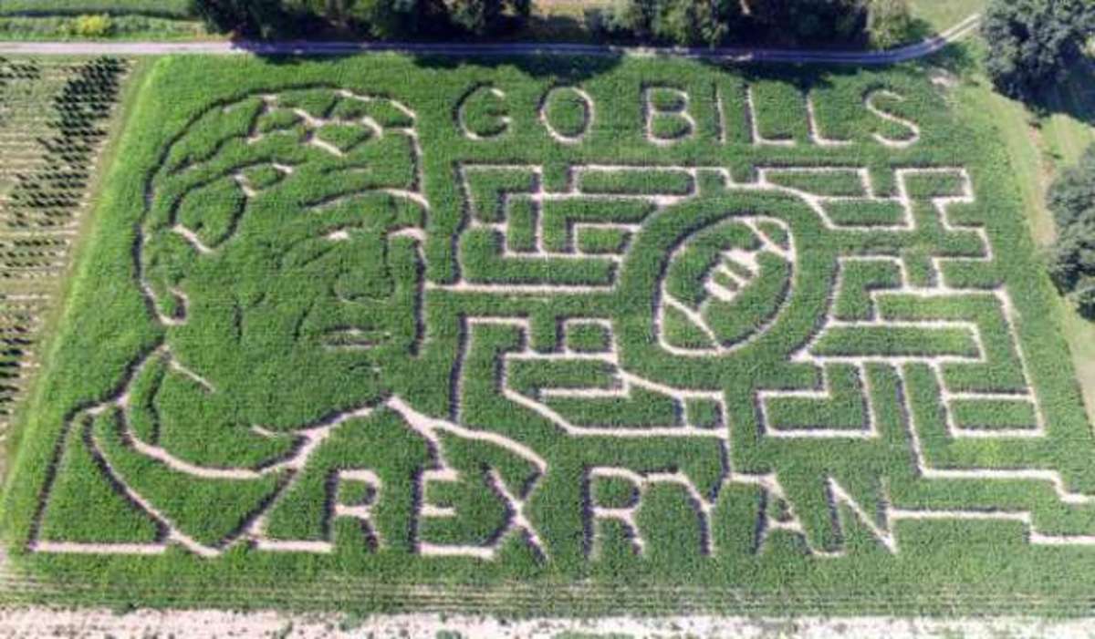 Rex-Ryan-corn-maze.jpg