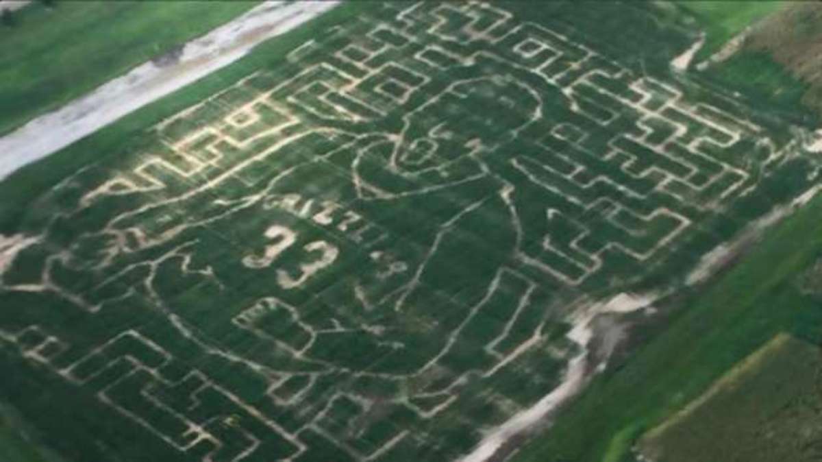 grizzlies-marc-gasol-corn-maze.jpg