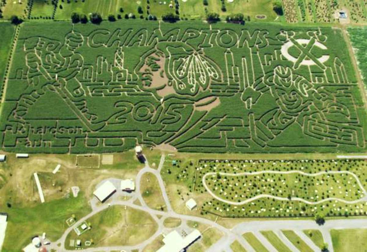 Chicago-blackhawks-corn-maze.jpg
