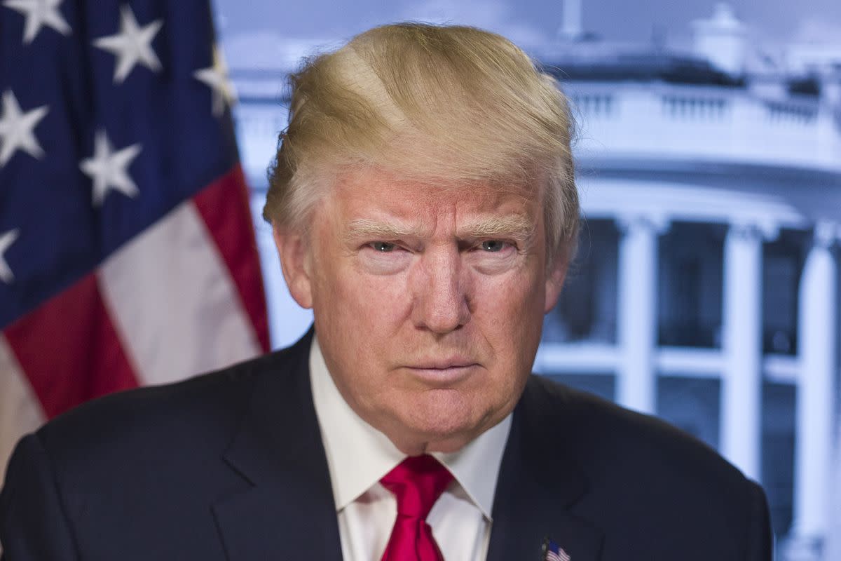 Official White House portrait of President Trump