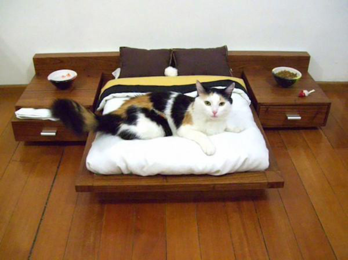 cat-bedroom-set.jpg