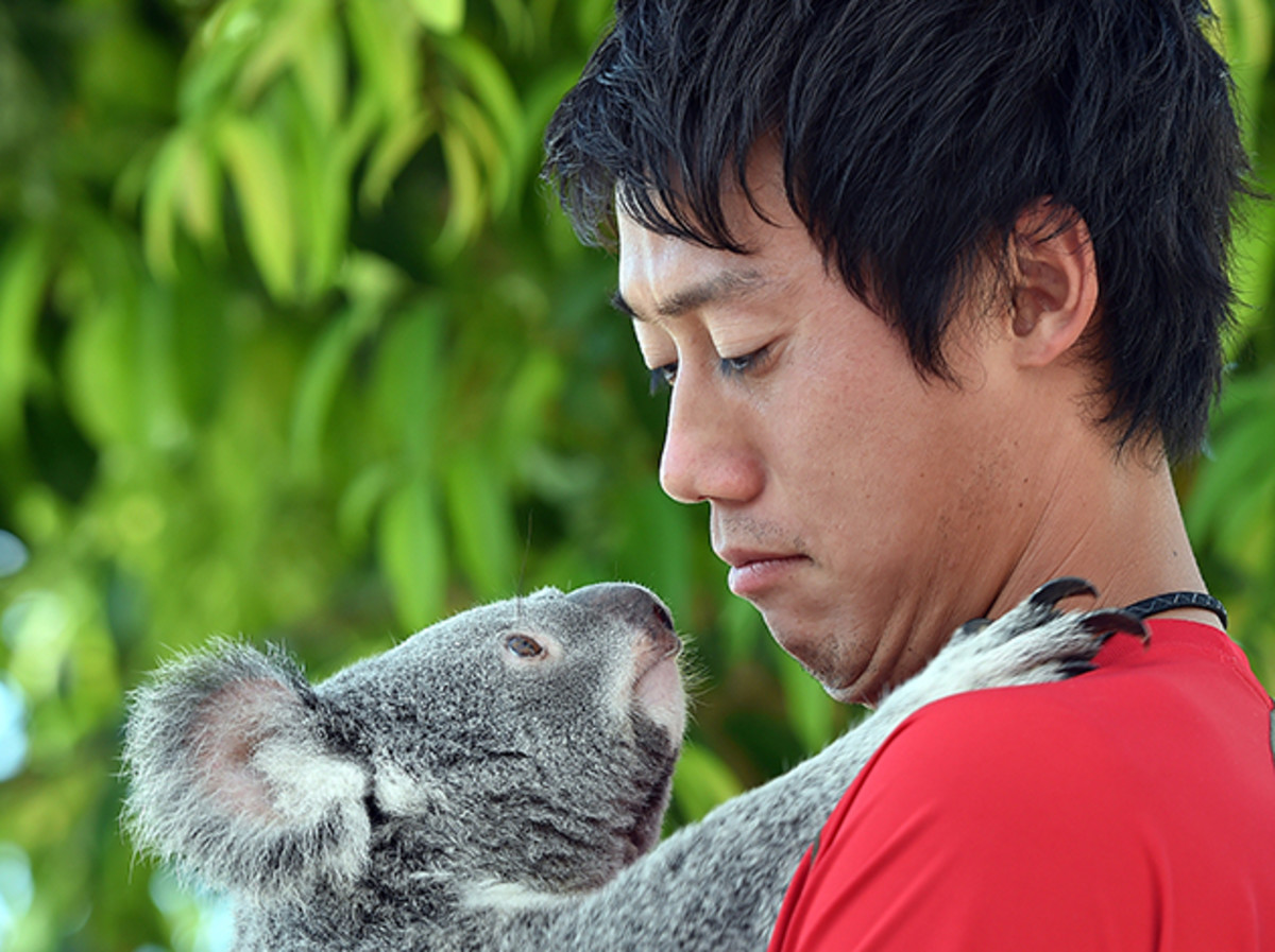 nishikori-koala.jpg