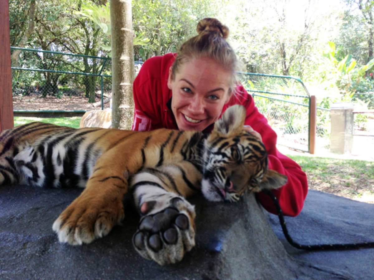 julie-kedzie-australian-zoo-tiger.jpg