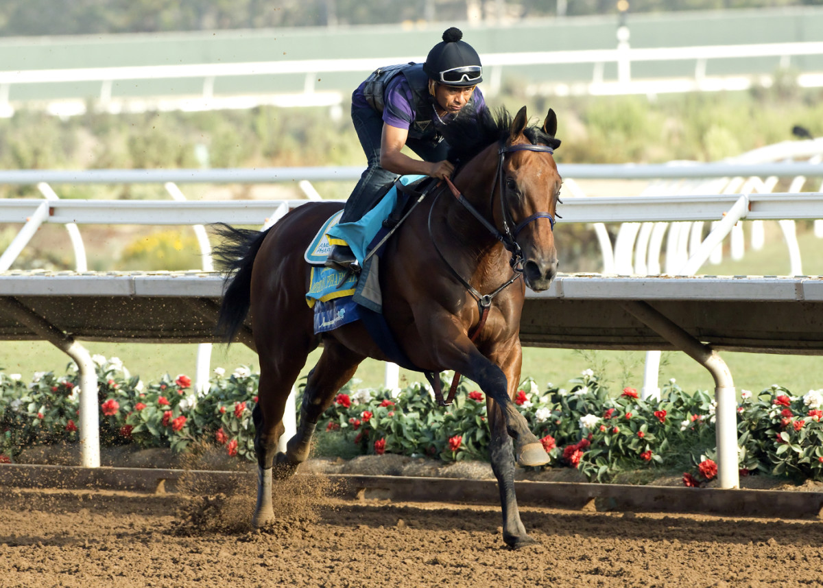 Travers next race for Triple Crown winner American Pharoah Sports