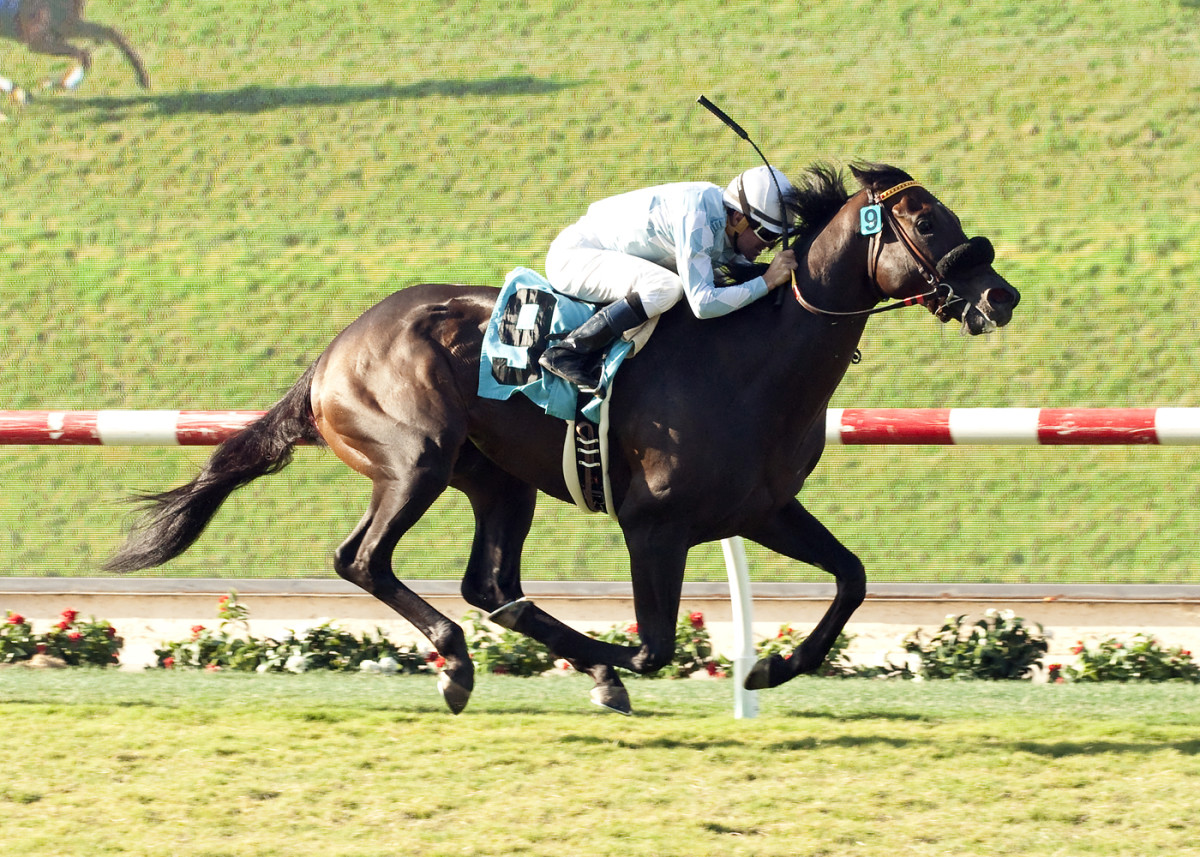Prospect Park wins La Jolla Handicap at Del Mar Sports Illustrated