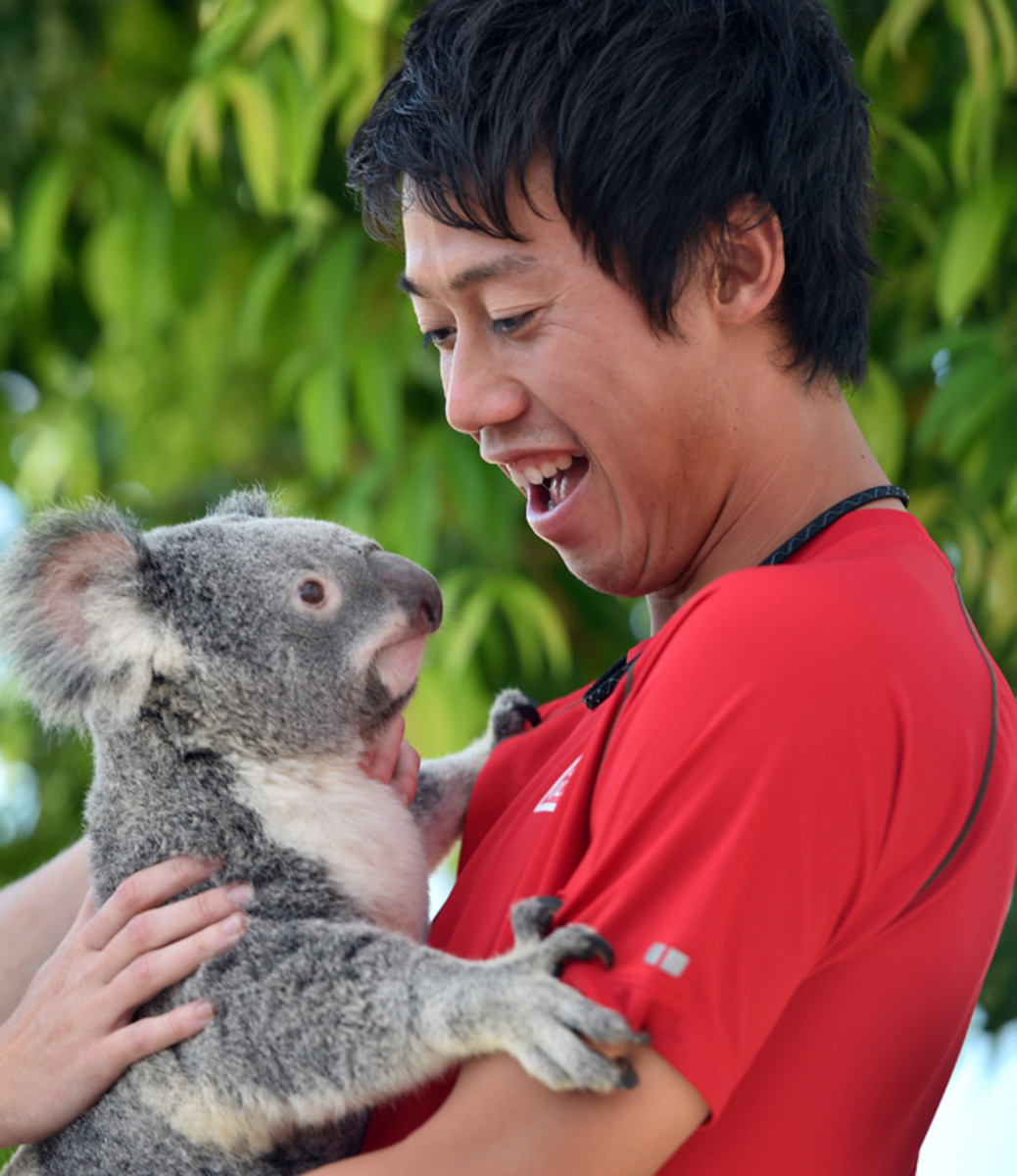 nishikori-koala_0.jpg