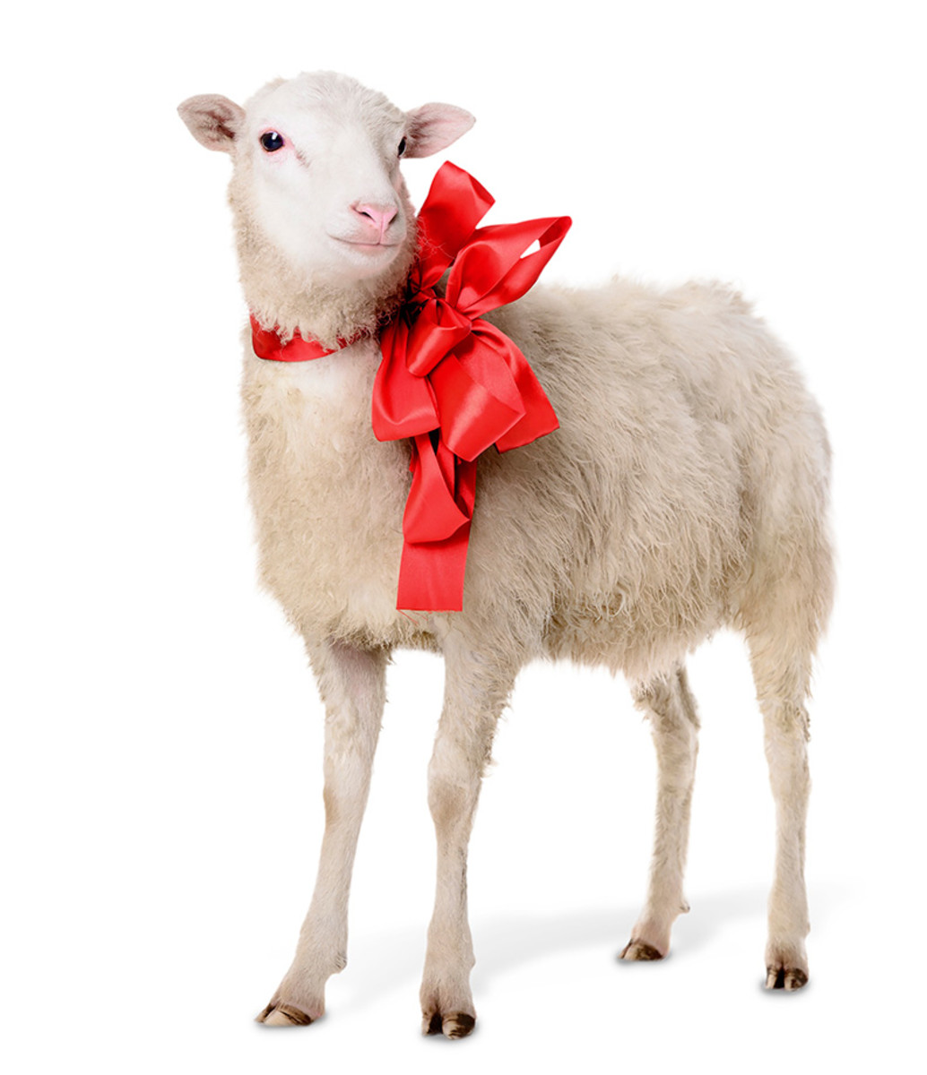 2015-0928-sheep-gift.jpg