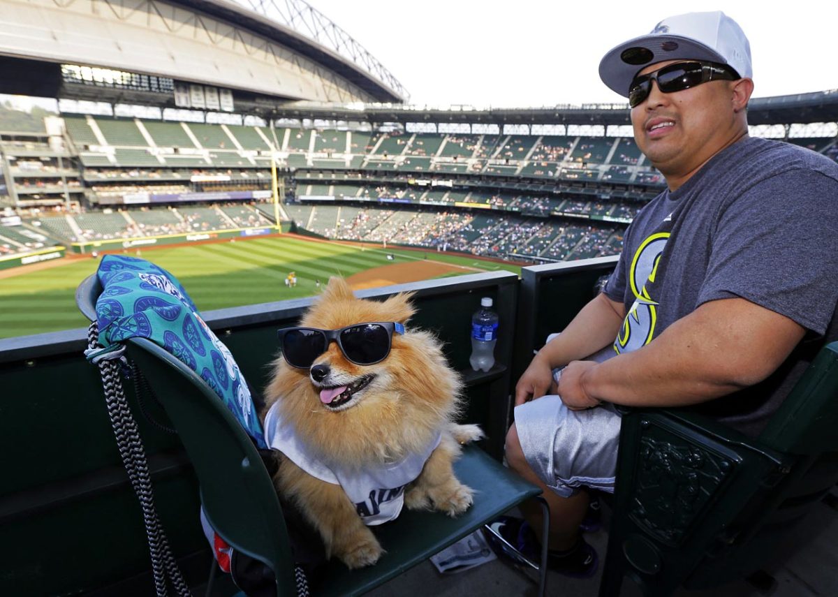Seattle-Mariners-dog-9be4ea835f334546a352516144843edd-0.jpg