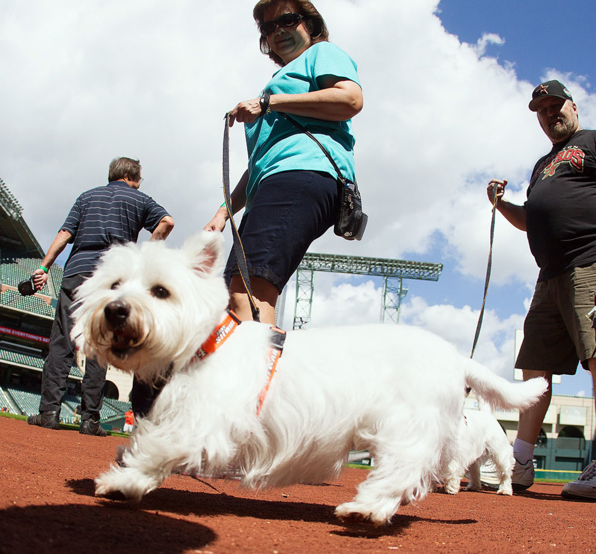 Houston-Astros-dog-GettyImages-472085262_master.jpg