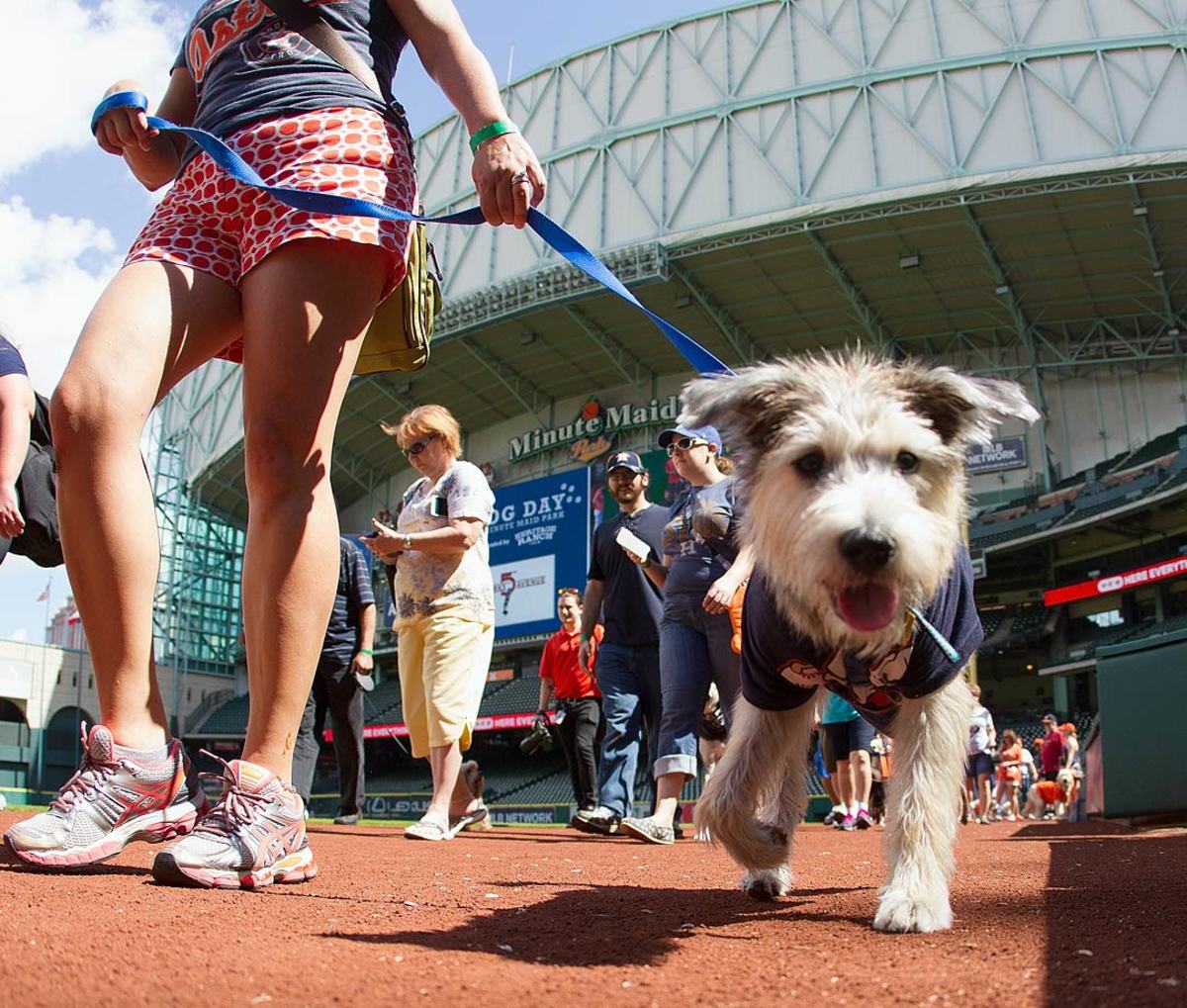 Houston-Astros-dog-GettyImages-472085270_master.jpg