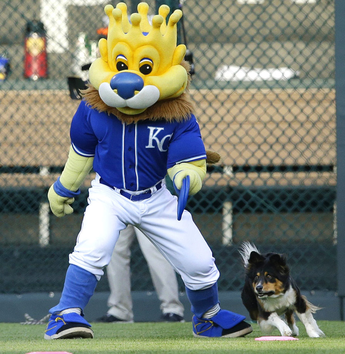 Kansas-City-Royals-mascot-Sluggerrr-frisbee-dog.jpg