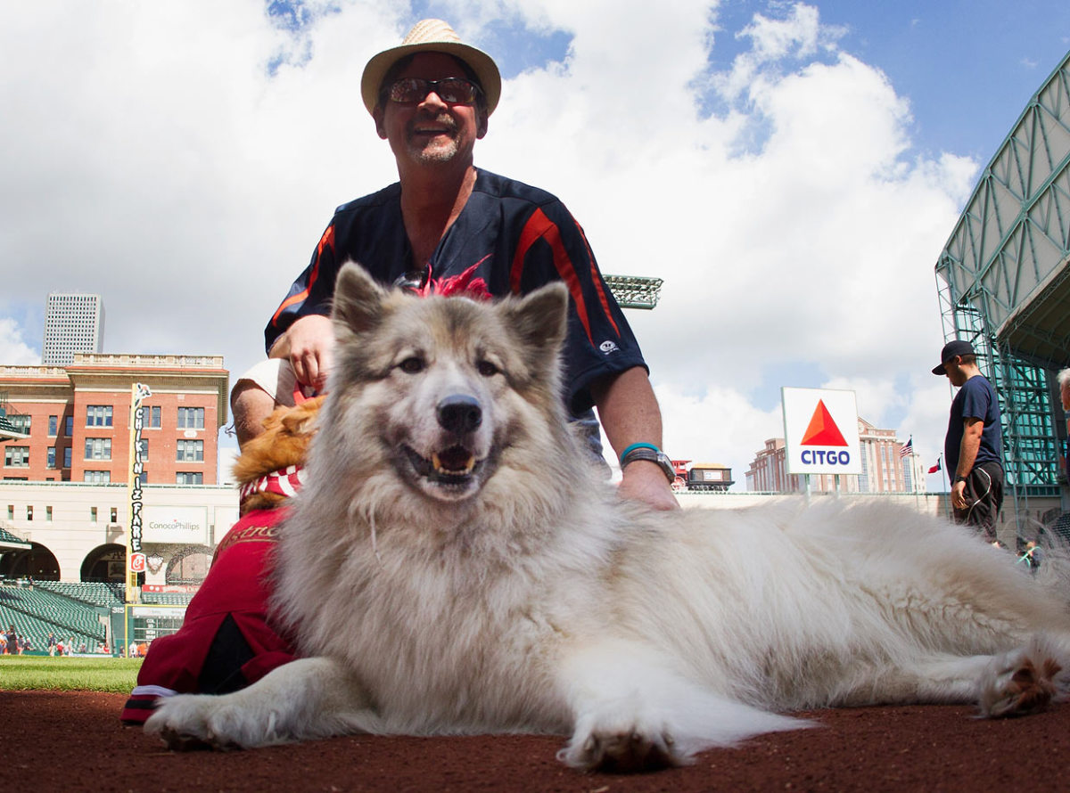 Houston-Astros-dog-GettyImages-472085242_master.jpg