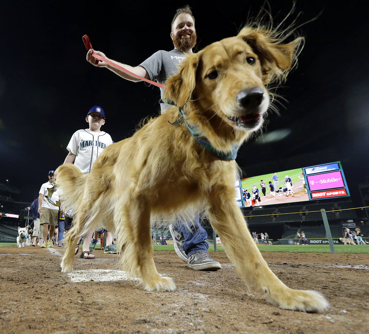 Seattle-Mariners-dog-9ff8bb62b702480e89bdaf752c9abd87-0.jpg