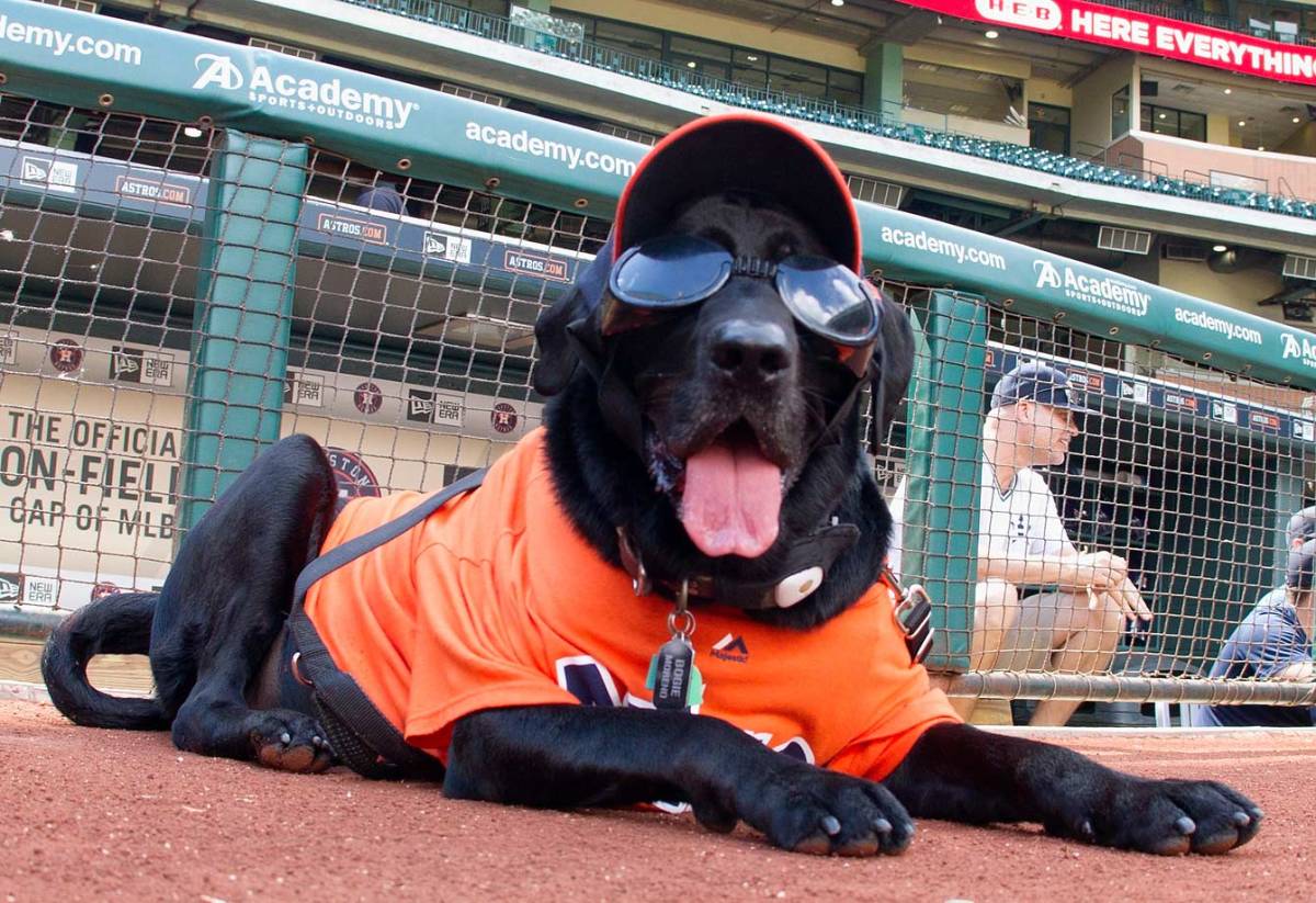 Houston-Astros-dog-GettyImages-472085252_master.jpg