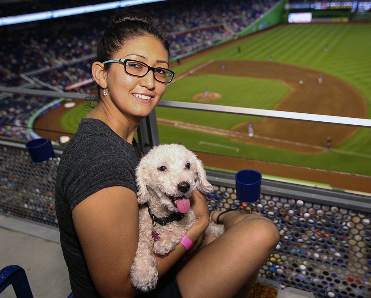 Miami-Marlins-dog-GettyImages-483728082_master.jpg