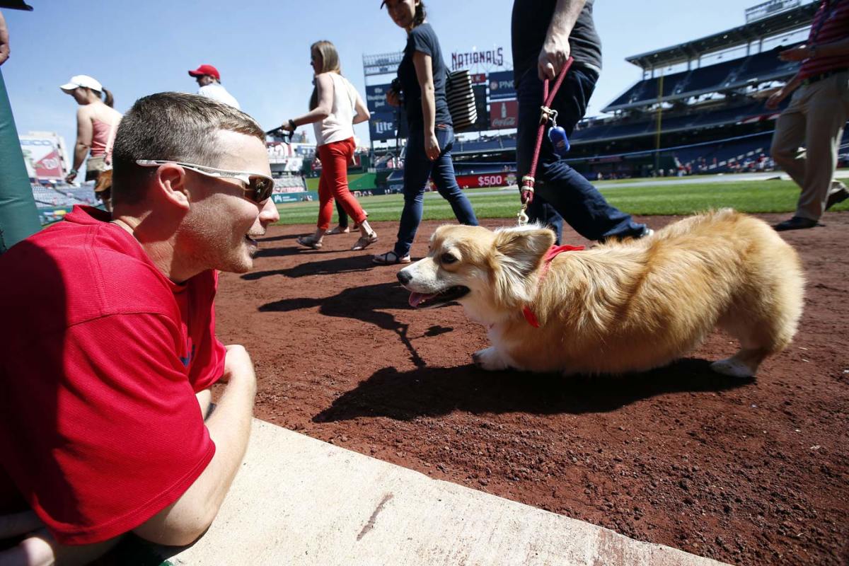 Washington-Nationals-Phillies-Cody-Asche-dog.jpg