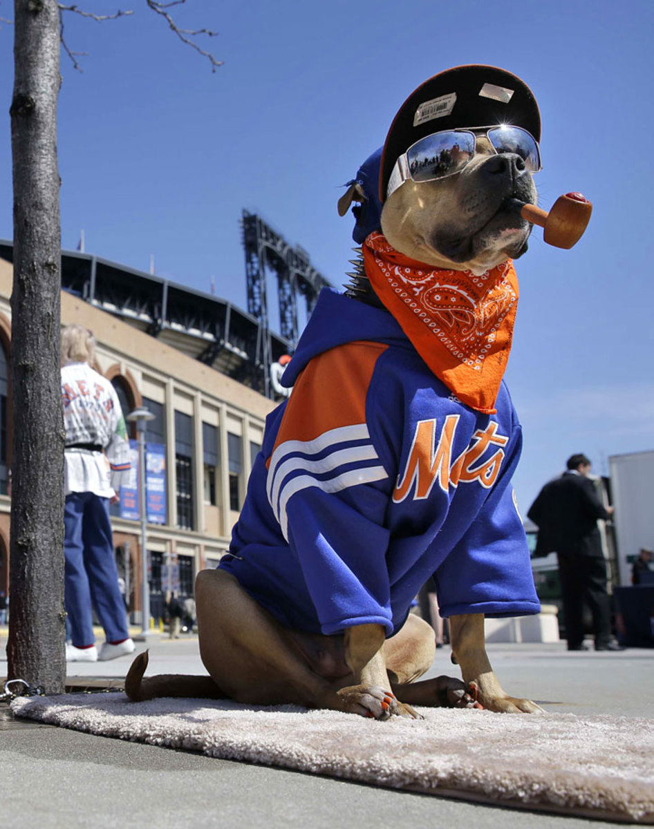 New-York-Mets-dog-1f9d95807df3443799e549290f731128-0.jpg
