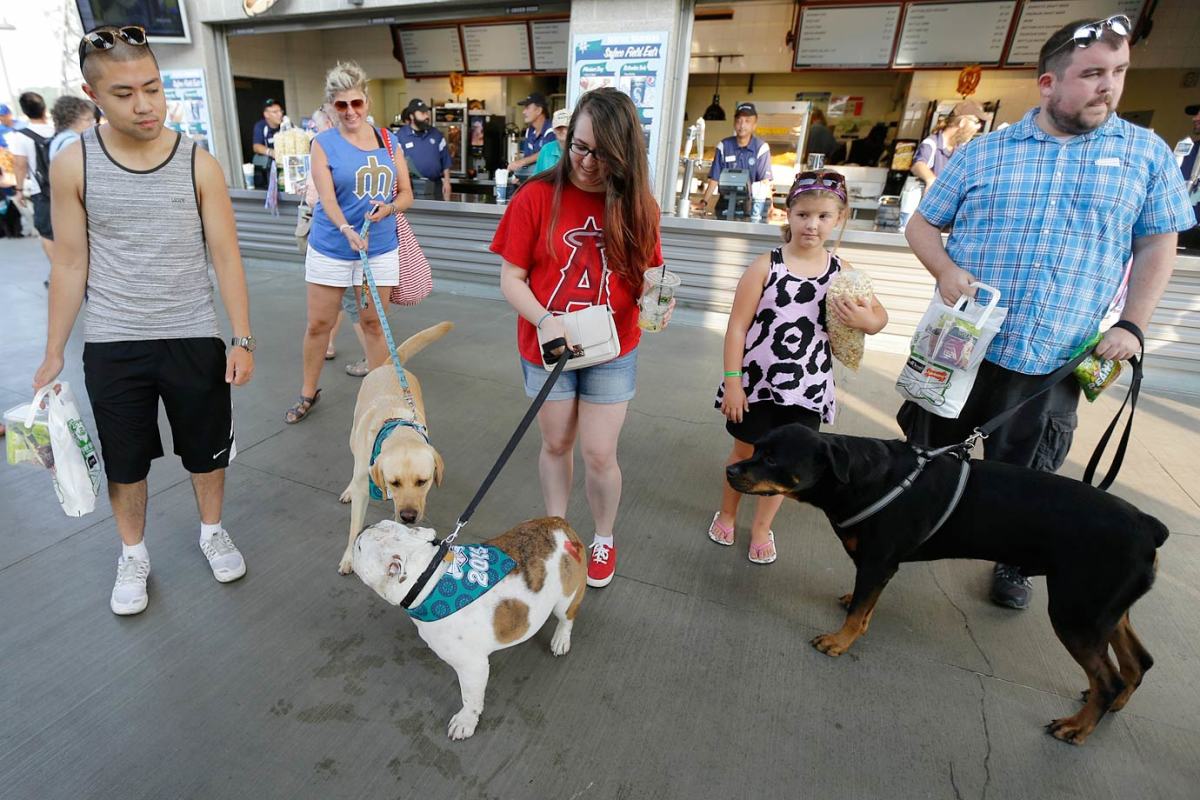 Seattle-Mariners-dogs-9f295da456ae430689a854307ff45f8f-0.jpg