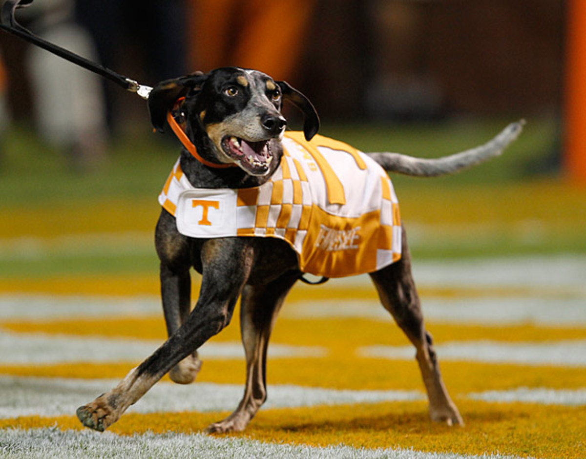 NCAA's Top Real Animal Mascots - Sports Illustrated