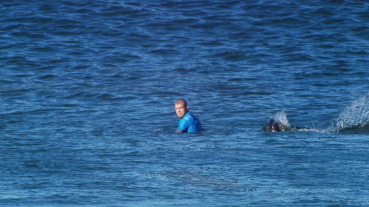 mick-fanning-481378622.jpg