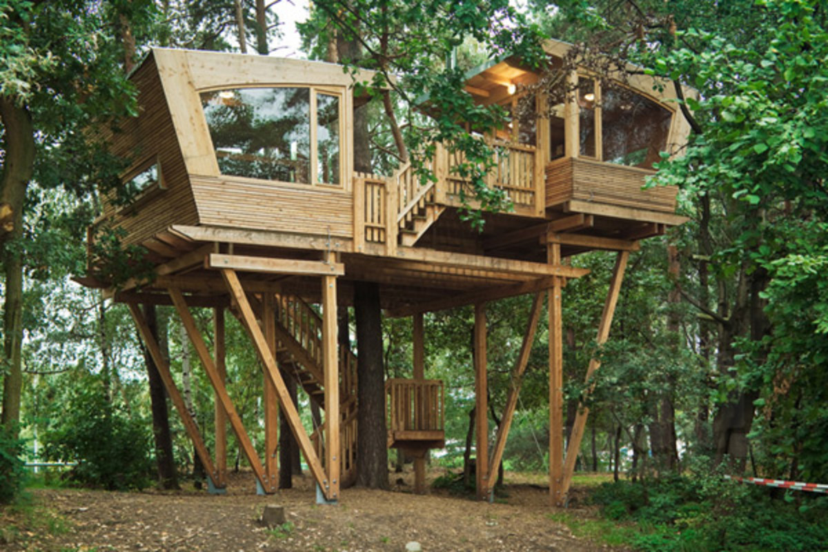 tree-house_0.jpg