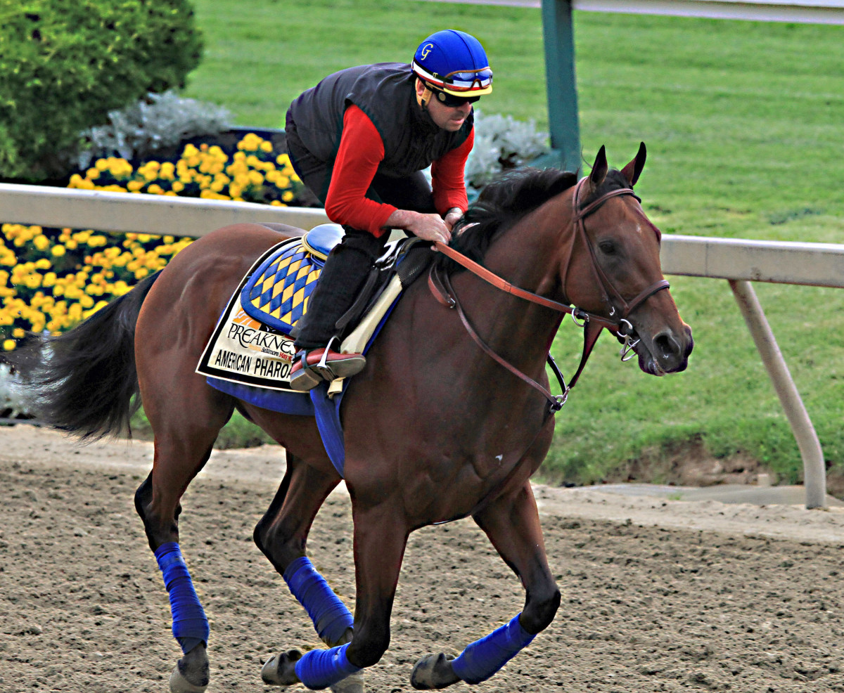 American Pharoah favored to win Preakness, set up Triple try - Sports
