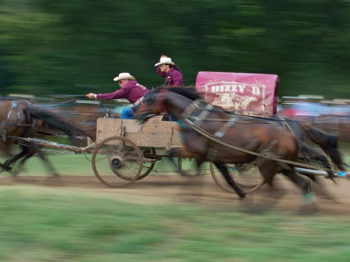 National Chuckwagon Race Championship Sports Illustrated