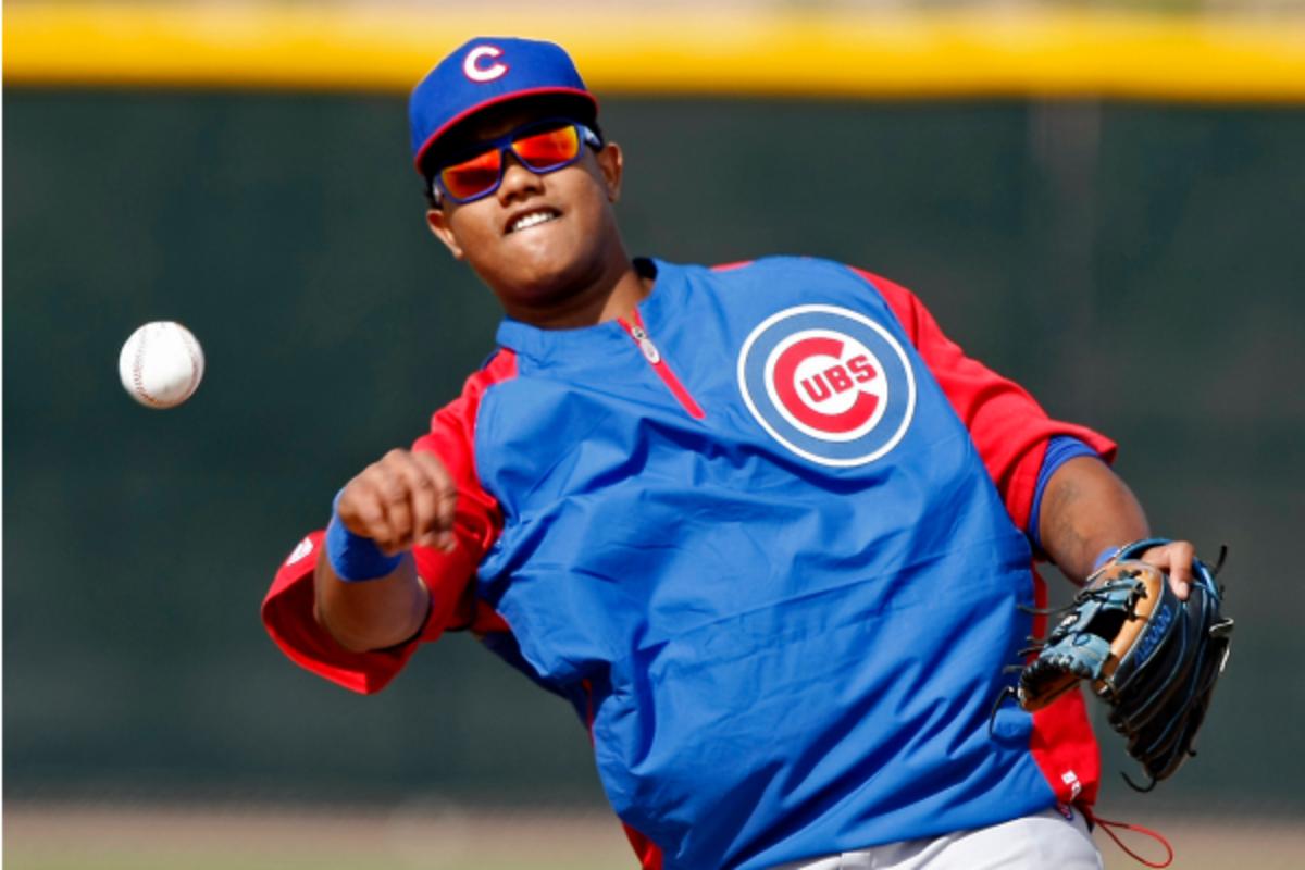 Starlin Castro (Rick Scuteri/Getty Images)