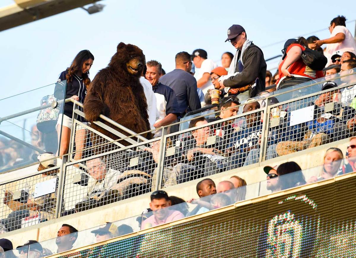 2014-0616-Padres-fan-bear-suit.jpg